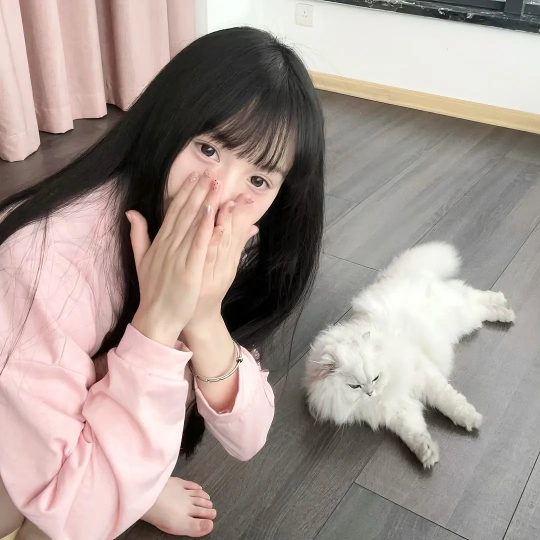 法律至上1